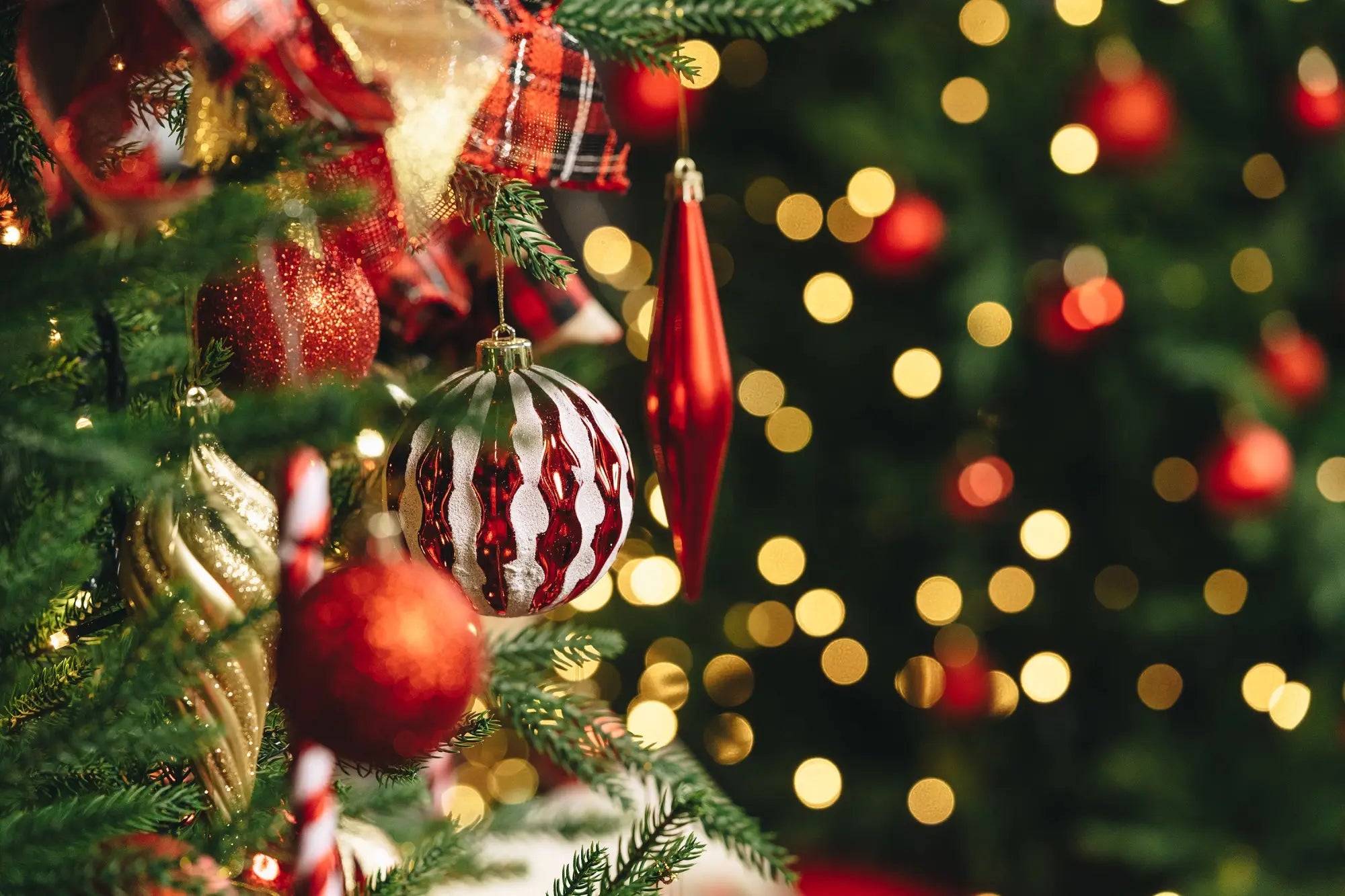 Smiling woman wearing red hoodie with 'jolly' text in front of decorated Christmas tree with lights and ornaments