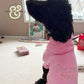 Black curly dog wearing a pink hoodie with embroidered text 'Pennie Mae' sitting indoors near window