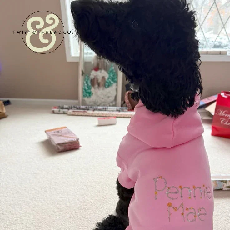 Black curly dog wearing a pink hoodie with embroidered text 'Pennie Mae' sitting indoors near window