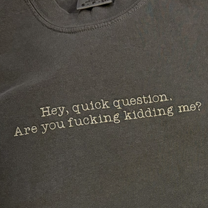 Hey Quick Question Funny Embroidered Comfort Colors T-Shirt - Apparel