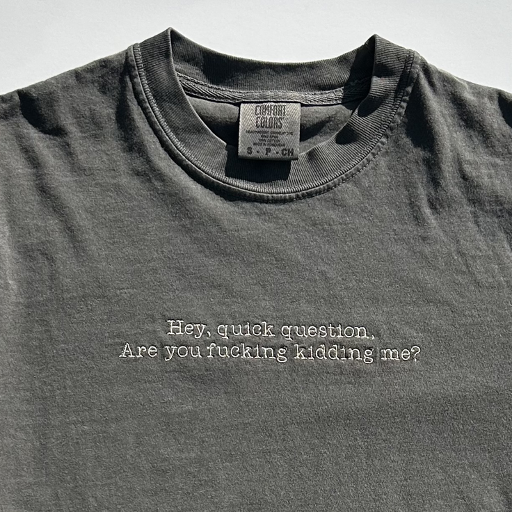 Hey Quick Question Funny Embroidered Comfort Colors T-Shirt - Apparel