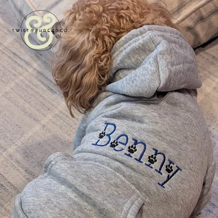 Curly brown dog wearing a gray custom embroidered hoodie with the name Benny and paw print accents