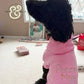 Black curly dog wearing a pink hoodie with embroidered text 'Pennie Mae' sitting indoors near window