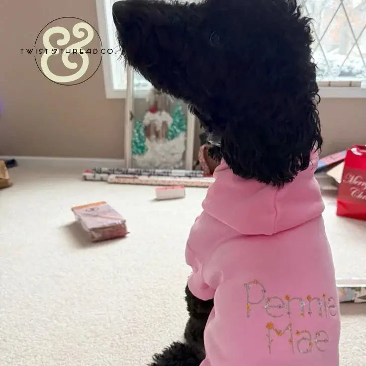 Black curly dog wearing a pink hoodie with embroidered text 'Pennie Mae' sitting indoors near window