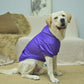 Personalized Embroidered Dog Hoodie