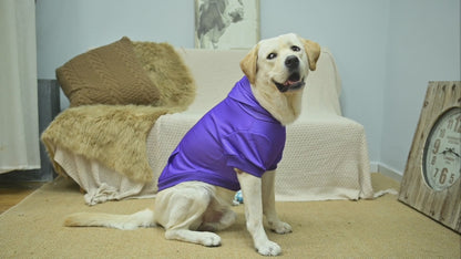 Sweat à capuche pour chien brodé personnalisé
